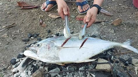 badlon fish|Lison/Golden Trevally/Badlon fish marination .